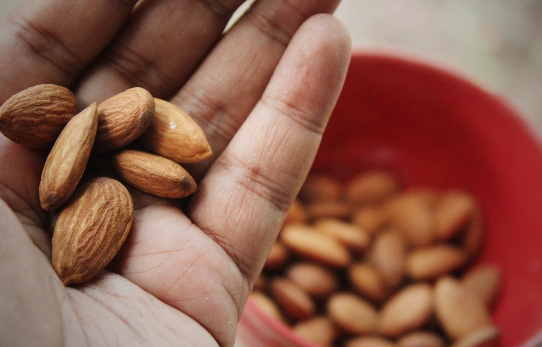 Grignoter malin et sain avec des fruits à coques