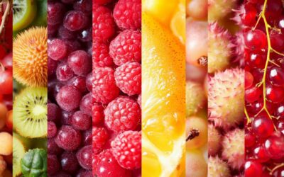 Fruit en R: la liste de tous les fruits commençant par R – Découvrez les bienfaits nutritionnels du ramboutan