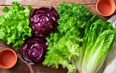 Quelles sont les différentes variétés de salades : focus sur les salades asiatiques à cultiver